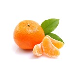 Organic Orange Juicy With The Leaf