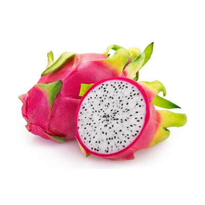 Pink Dragon Live Plant Alocasia Calidora Fruit