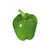 Organic Transparent Green Bell Pepper
