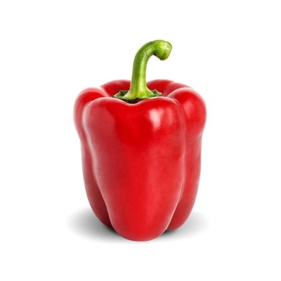 Organic Transparent Green Bell Pepper