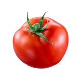 Tomato Red Round Premium Vegetable