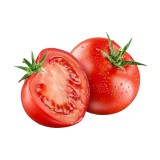 Tomato Red Round Premium Vegetable