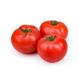 Tomato Red Round Premium Vegetable